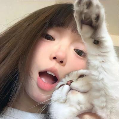 灰天鹅绒上的四只苍蝇