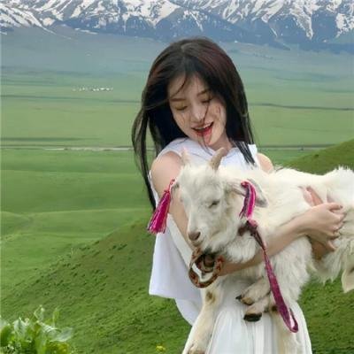 爱犬情深